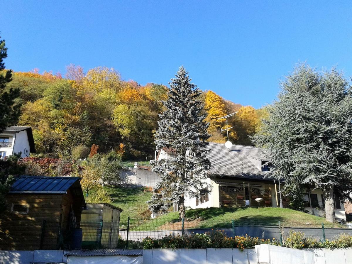 B&B Ma Maison Hautes Vosges Ranspach Værelse billede